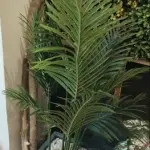 Artificial Palm Tree