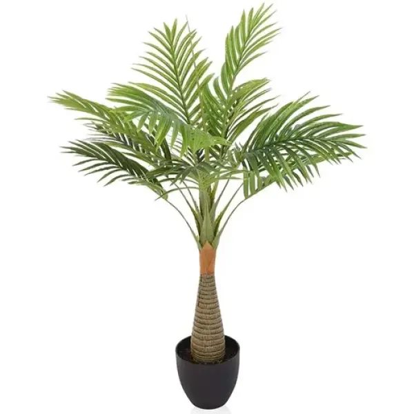 Chamaedorea Mini Palm