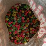 Colorful Plant Stones